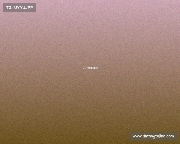 2020年搏击比赛 2020年搏击比赛