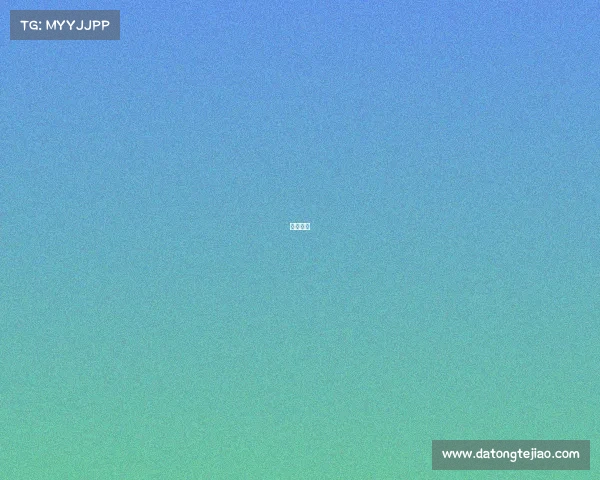 化石新闻 化石新闻