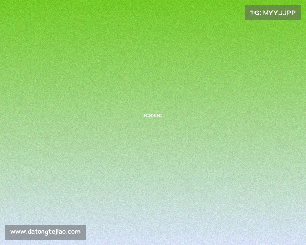 东阳市电商培训 东阳市电商培训